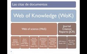 Estructura WOK